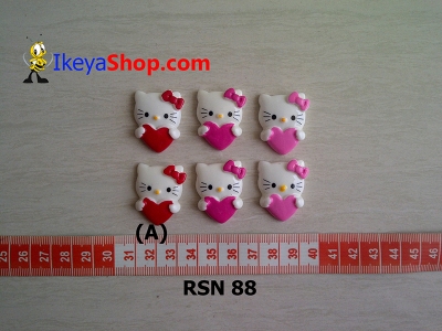 rsn 88  large2